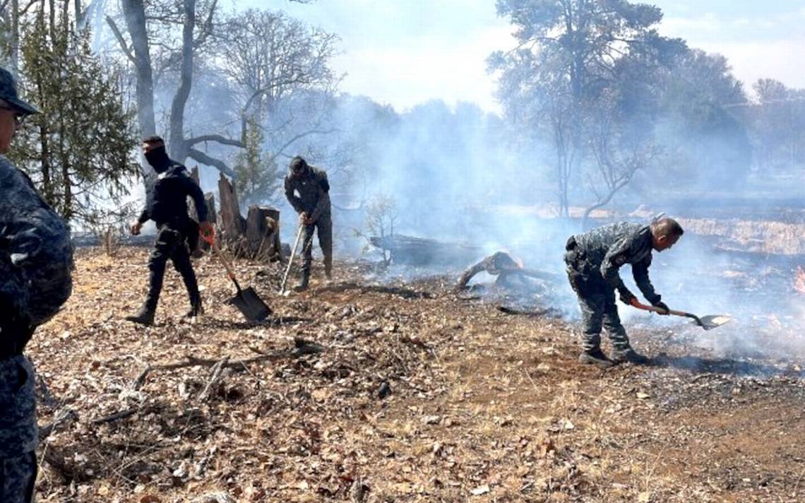 Sofocan Incendio Forestal En Monte Escobedo El Sol De Zacatecas Noticias Locales Policiacas